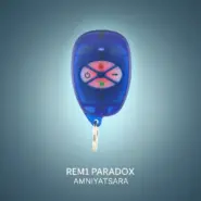ریموت کنترل REM1 پارادوکس PARADOX
