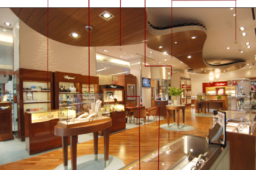 دزدگیر طلافروشی